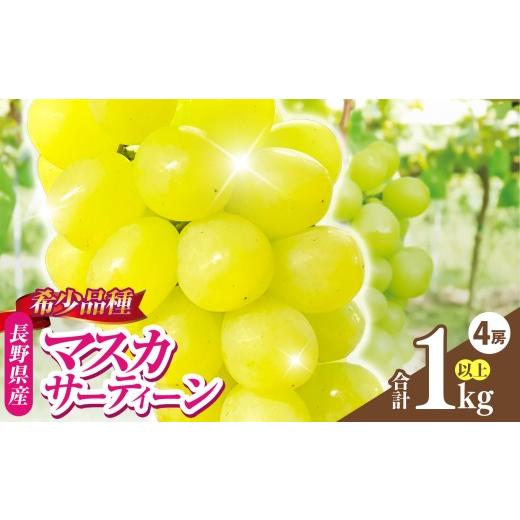 ふるさと納税 ぶどう 長野県 伊那市 ぶどう 信州伊那産ぶどう マスカサーティーン (1.0kg以上) 4房 白鳥フルーツファーム | ぶどう 葡萄 数量限定 希少品種 種…