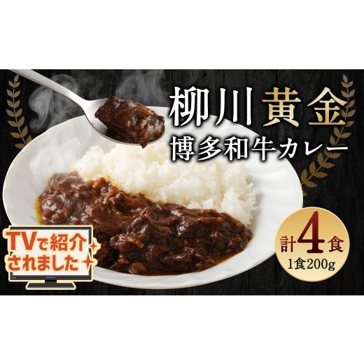 ふるさと納税 惣菜・レトルト 福岡県 柳川市 TVで話題 柳川黄金博多和牛カレー 200g×4箱 合計4人前 4食
