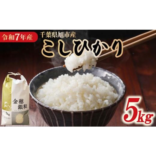 ふるさと納税 米 コシヒカリ 千葉県 旭市 米 コシヒカリ 5kg 精米 白米 令和7年産 米5kg 2025年度 7年産 お米 ご飯 こめ おこめ コメ kome ライス こしひかり …