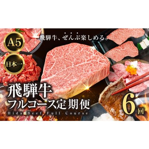 ふるさと納税 牛肉 ステーキ 岐阜県 大垣市 飛騨牛全部楽しめる 飛騨牛フルコース定期便 定期便 6回 6ヶ月|定期便 飛騨牛 牛肉 お肉 希少部位 定期便 飛騨牛 …