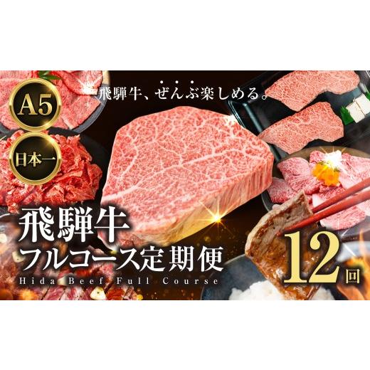 ふるさと納税 牛肉 ステーキ 岐阜県 大垣市 飛騨牛全部楽しめる 飛騨牛フルコース定期便 選べる回数 定期便 12回 12ヶ月|定期便 飛騨牛 牛肉 お肉 希少部位 …