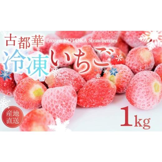 ふるさと納税 ジャム いちご 奈良県 奈良市 冷凍いちご 約1kg 古都華 ことか 約500g×2袋 いちご 冷凍イチゴ 数量限定 ブランド 苺 フルーツ 果物 国産 ベリー…