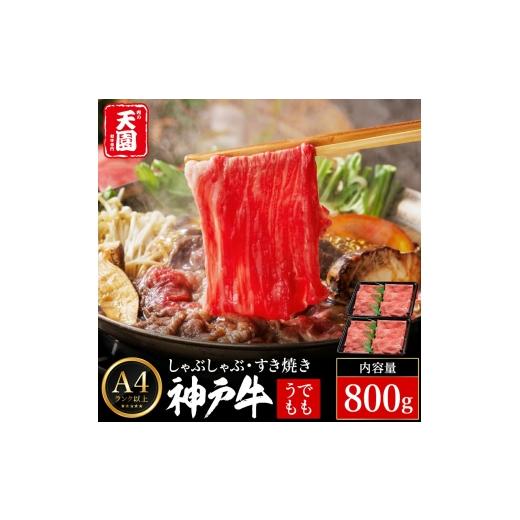 ふるさと納税 牛肉 すき焼き 兵庫県 豊岡市 神戸牛 赤身 モモ しゃぶしゃぶ すき焼き 800g(400g×2P) / A4ランク以上 しゃぶしゃぶ用 すき焼き用 牛肉 ス…