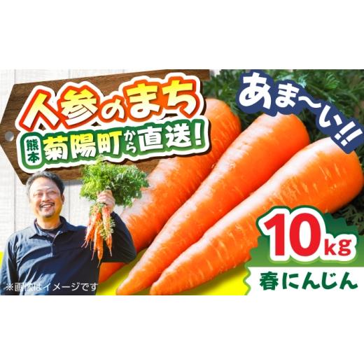 ふるさと納税 野菜類 人参 熊本県 菊陽町 菊陽春にんじん 秀品 10kg / にんじん アロマレッド 翔彩 菊陽にんじん 西洋にんじん ニンジン 人参 野菜 熊本 菊陽…