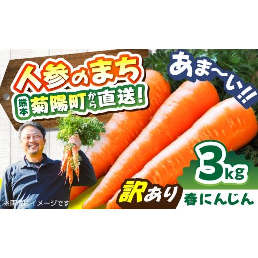ふるさと納税 野菜類 人参 熊本県 菊陽町 訳あり 菊陽春にんじん 3kg / にんじん アロマレッド 翔彩 菊陽にんじん 西洋にんじん ニンジン 人参 野菜 熊本 菊…