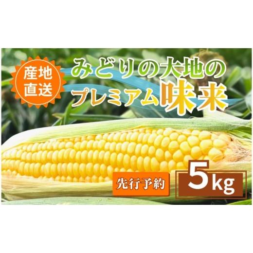 ふるさと納税 とうもろこし 長野県 上田市 先行予約 とうもろこし プレミアム味来 みどりの大地 5kg(8〜12本入り) 茹でとうもろこし スイートコーン ミラク…