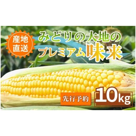 ふるさと納税 とうもろこし 長野県 上田市 先行予約 とうもろこし プレミアム味来 みどりの大地 10kg(16〜24本入り) 茹でとうもろこし スイートコーン ミラ…