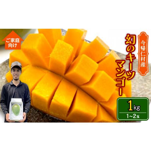 ふるさと納税 マンゴー 沖縄県 今帰仁村 先行受付・2026年8月から順次発送・家庭用 仲本マンゴー園の幻のキーツマンゴー1kg(1〜2玉) 1694611