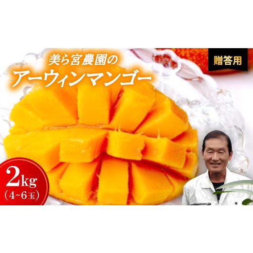 ふるさと納税 マンゴー 沖縄県 今帰仁村 2026年7月から順次発送・贈答用 美ら宮農園のアーウィンマンゴー2kg(4〜6玉) 1695311