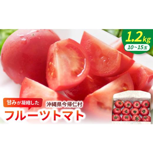 ふるさと納税 野菜類 トマト 沖縄県 今帰仁村 2027年2月中旬から順次発送 甘みが凝縮したフルーツトマト1.2kg(10玉〜15玉) 1726083