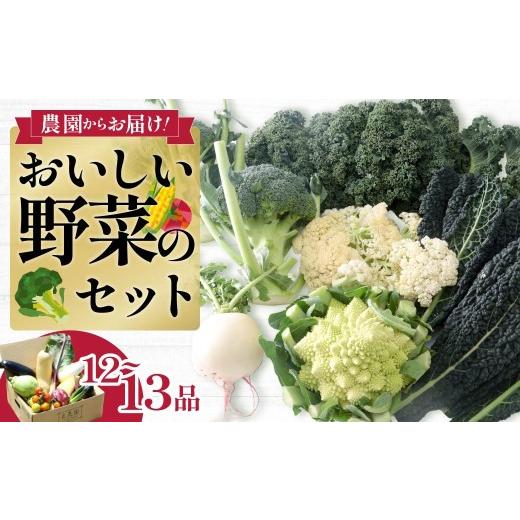 ふるさと納税 セット・詰合せ 群馬県 前橋市 西洋野菜 一般野菜 旬野菜セット 12〜13品 | 減農薬 野菜ソムリエ 旬野菜 イタリア野菜 珍しい 食べ比べ 生野菜 …