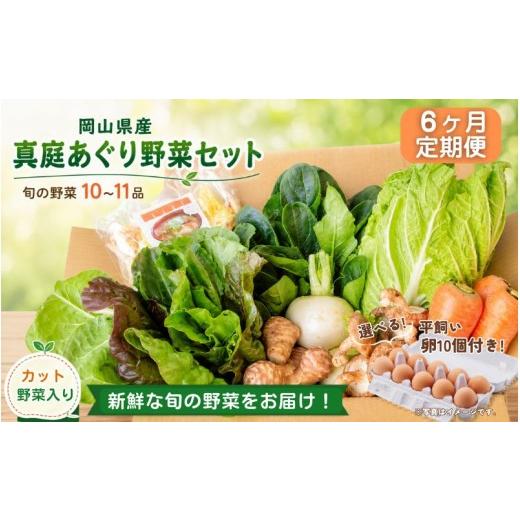 ふるさと納税 セット・詰合せ 岡山県 真庭市  6カ月定期便 真庭あぐり野菜セット カット野菜が1品入る 10〜11品 平飼い卵付き ／ 産地直送 農家 お試し 岡山県…_1