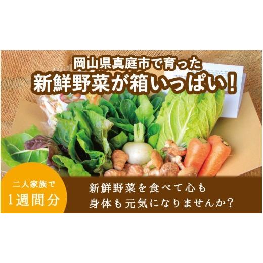 ふるさと納税 セット・詰合せ 岡山県 真庭市  6カ月定期便 真庭あぐり野菜セット カット野菜が1品入る 10〜11品 平飼い卵付き ／ 産地直送 農家 お試し 岡山県…_2