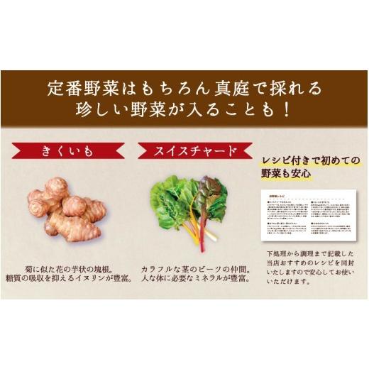 ふるさと納税 セット・詰合せ 岡山県 真庭市  6カ月定期便 真庭あぐり野菜セット カット野菜が1品入る 10〜11品 平飼い卵付き ／ 産地直送 農家 お試し 岡山県…_4