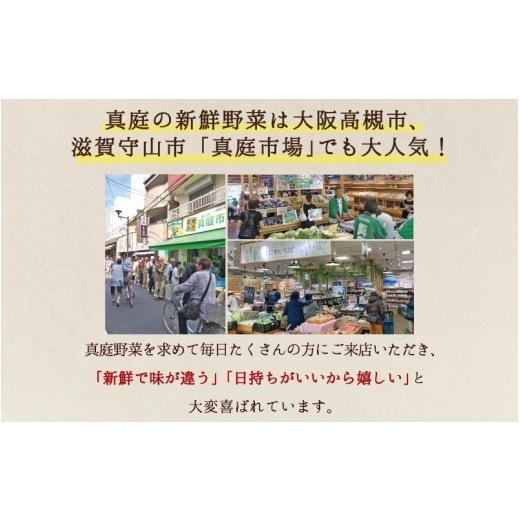ふるさと納税 セット・詰合せ 岡山県 真庭市  6カ月定期便 真庭あぐり野菜セット カット野菜が1品入る 10〜11品 平飼い卵付き ／ 産地直送 農家 お試し 岡山県…_6
