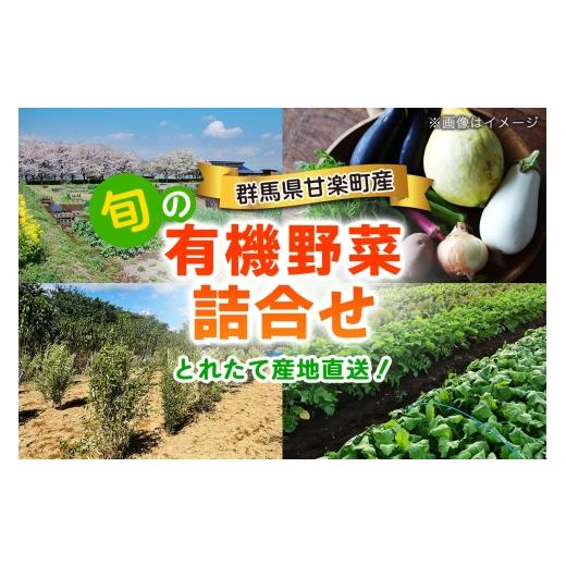 ふるさと納税 野菜類 群馬県 甘楽町 旬の有機野菜詰合せ/群馬県甘楽町産|有機野菜 新鮮野菜 有機栽培 獲れたて 産地直送 群馬県産 甘楽町産 0350