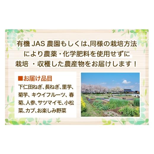 ふるさと納税 野菜類 群馬県 甘楽町 旬の有機野菜詰合せ／群馬県甘楽町産｜有機野菜 新鮮野菜 有機栽培 獲れたて 産地直送 群馬県産 甘楽町産 0350_2