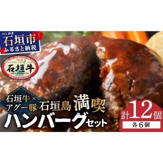 ふるさと納税 豚肉 ハンバーグ 沖縄県 石垣市 石垣牛×アグー豚(南ぬ豚)石垣島満喫ハンバーグセット(各6個 計12個) | ハンバーグ 牛肉 セット 和牛 黒毛和…