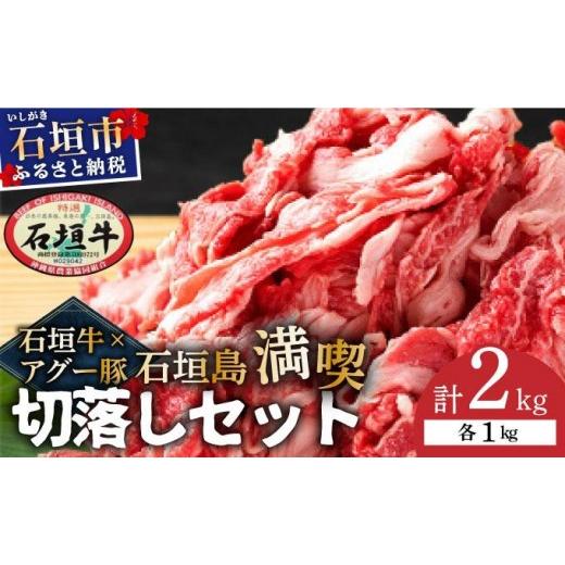 ふるさと納税 豚肉 沖縄県 石垣市 石垣牛×アグー豚(南ぬ豚)石垣島満喫切落しセット(各1kg 計2kg)| 牛肉 セット 和牛 黒毛和牛 石垣牛 豚肉 あぐー豚 アグ…