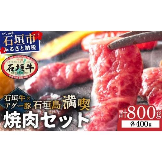 ふるさと納税 豚肉 バラ 沖縄県 石垣市 石垣牛×アグー豚(南ぬ豚)石垣島満喫焼肉セット(各400g 計800g)| 牛肉 セット 和牛 黒毛和牛 石垣牛 豚肉 あぐー豚…