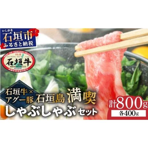ふるさと納税 豚肉 バラ 沖縄県 石垣市 石垣牛×アグー豚(南ぬ豚)石垣島満喫しゃぶしゃぶセット(各400g 計800g)| 牛肉 セット 和牛 黒毛和牛 石垣牛 豚肉 …