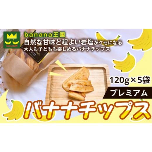ふるさと納税 菓子 愛知県 名古屋市 軽やかな食感の贅沢おやつ プレミアムバナナチップス 120g 5袋 |ドライフルーツ おやつ スナック お菓子 軽食 スイーツ …