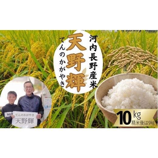 ふるさと納税 米 にこまる 大阪府 河内長野市 2026年11月以降発送 令和8年産 新米 にこまる 天野輝10kg (精米後約9kg)てんのかがやき 大阪府 河内長野市産 …