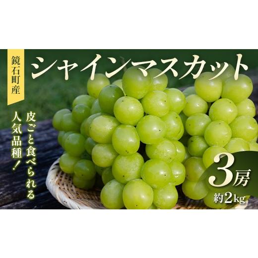 ふるさと納税 ぶどう マスカット 福島県 鏡石町 皮ごと食べられる人気品種 鏡石町産 シャインマスカット 3房(約2kg)マスカット ぶどう ブドウ 葡萄 デザート…