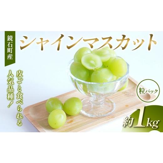 ふるさと納税 ぶどう マスカット 福島県 鏡石町 粒パック 皮ごと食べられる人気品種 鏡石町産 シャインマスカット 約1kg 家庭用 マスカット ぶどう ブドウ 葡…