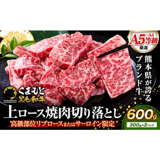 ふるさと納税 牛肉 焼肉・バーベキュー 熊本県 菊池市 A4〜A5等級 黒毛和牛 切り落とし 上 ロース 焼肉 切り落とし 600g [7-14日以内に出荷予定(土日祝除く)…