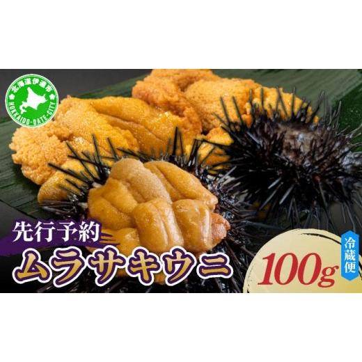 ふるさと納税 ウニ 北海道 伊達市 先行予約 北海道産 ムラサキウニ(正規品)100g ogm-027 生うに 塩水うに ミョウバン不使用 海鮮 国産 北海道 伊達 ふるさ…