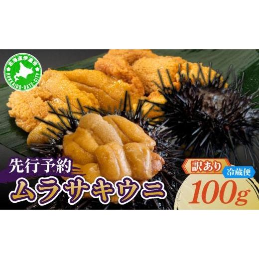 ふるさと納税 ウニ 北海道 伊達市 先行予約 北海道産 ムラサキウニ(訳あり)100g ogm-028 生うに 塩水うに ミョウバン不使用 海鮮 訳あり 国産 北海道 伊達 …