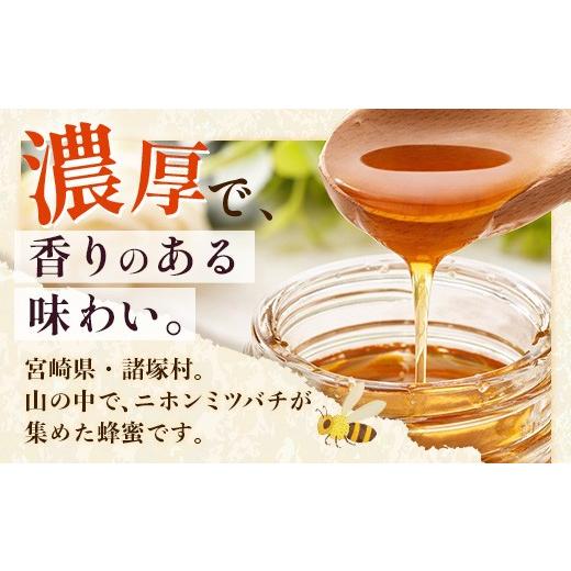 ふるさと納税 加工品等 はちみつ 宮崎県 諸塚村 はちみつ 山の蜜 400g×1本 冷蔵｜国産 蜂蜜 百花蜜 ニホンミツバチ 希少 自然養蜂 瓶 もろっこはうす 宮崎県 …_2