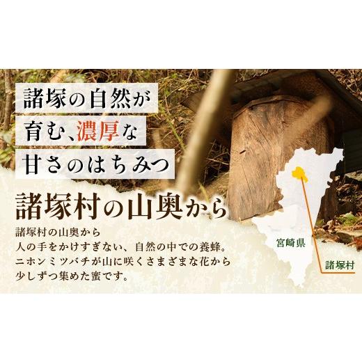 ふるさと納税 加工品等 はちみつ 宮崎県 諸塚村 はちみつ 山の蜜 400g×1本 冷蔵｜国産 蜂蜜 百花蜜 ニホンミツバチ 希少 自然養蜂 瓶 もろっこはうす 宮崎県 …_3