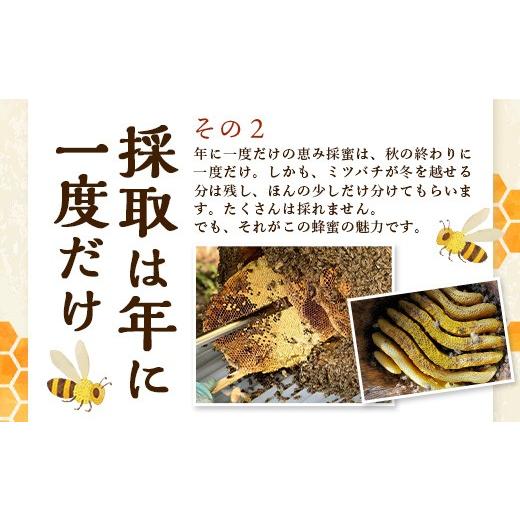ふるさと納税 加工品等 はちみつ 宮崎県 諸塚村 はちみつ 山の蜜 400g×1本 冷蔵｜国産 蜂蜜 百花蜜 ニホンミツバチ 希少 自然養蜂 瓶 もろっこはうす 宮崎県 …_5