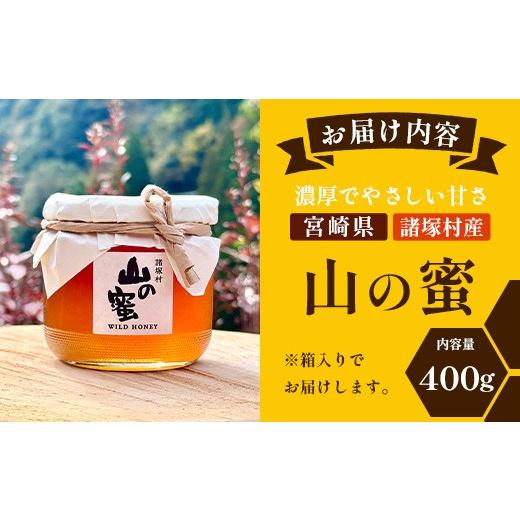 ふるさと納税 加工品等 はちみつ 宮崎県 諸塚村 はちみつ 山の蜜 400g×1本 冷蔵｜国産 蜂蜜 百花蜜 ニホンミツバチ 希少 自然養蜂 瓶 もろっこはうす 宮崎県 …_9