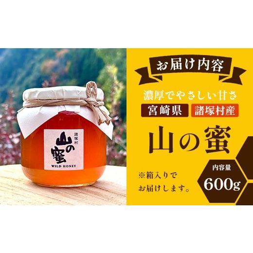 ふるさと納税 加工品等 はちみつ 宮崎県 諸塚村 はちみつ 山の蜜 600g×1本 冷蔵｜国産 蜂蜜 百花蜜 ニホンミツバチ 希少 自然養蜂 瓶 もろっこはうす 宮崎県 …_9