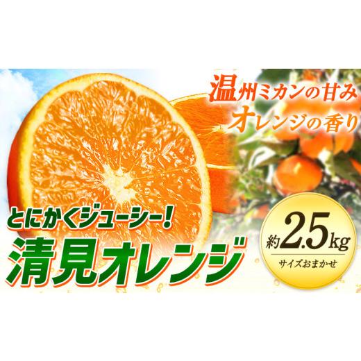 ふるさと納税 みかん・柑橘類 和歌山県 日高川町 とにかくジューシー 清見 オレンジ 約2.5kg 株式会社魚鶴商店[2027年3月下旬-5月上旬頃出荷]和歌山県 日高…