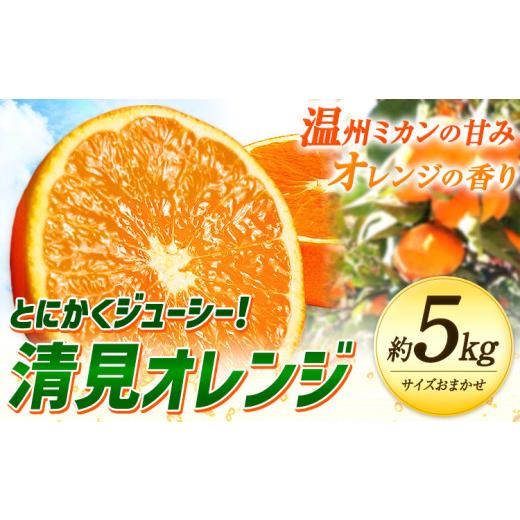 ふるさと納税 みかん・柑橘類 和歌山県 日高川町 とにかくジューシー 清見 オレンジ 約5kg 株式会社魚鶴商店[2027年3月下旬-5月上旬頃出荷]和歌山県 日高川…