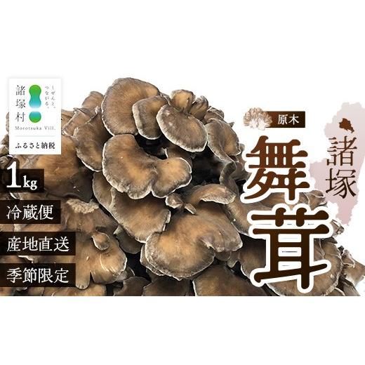 ふるさと納税 野菜類 きのこ 宮崎県 諸塚村 先行予約 宮崎県諸塚村産 原木舞茸 1kg 数量限定[2026年10月下旬〜11月中旬ごろにお届け]冷蔵|マイタケ きのこ…