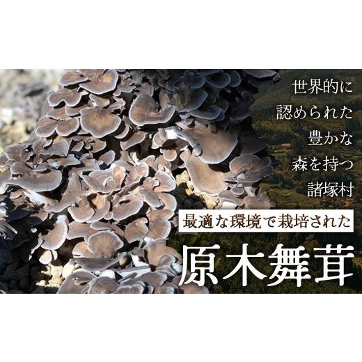 ふるさと納税 野菜類 きのこ 宮崎県 諸塚村 先行予約 宮崎県諸塚村産 原木舞茸 1kg 数量限定［2026年10月下旬〜11月中旬ごろにお届け］冷蔵｜マイタケ きのこ…_2