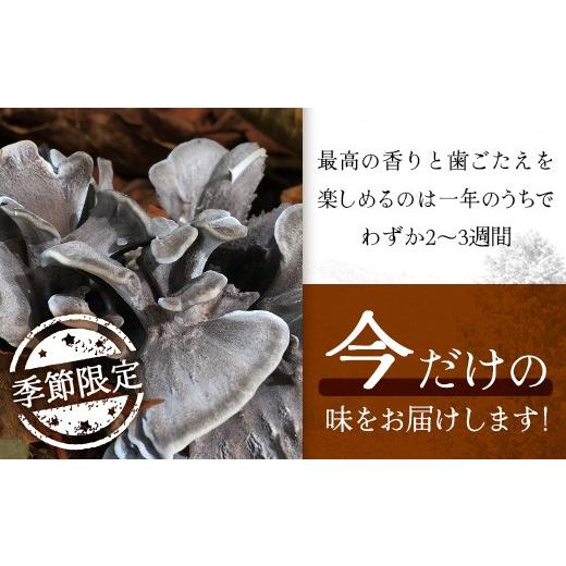ふるさと納税 野菜類 きのこ 宮崎県 諸塚村 先行予約 宮崎県諸塚村産 原木舞茸 1kg 数量限定［2026年10月下旬〜11月中旬ごろにお届け］冷蔵｜マイタケ きのこ…_3