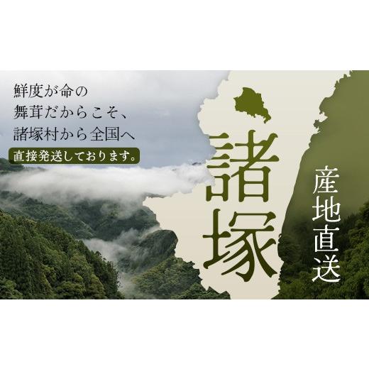ふるさと納税 野菜類 きのこ 宮崎県 諸塚村 先行予約 宮崎県諸塚村産 原木舞茸 1kg 数量限定［2026年10月下旬〜11月中旬ごろにお届け］冷蔵｜マイタケ きのこ…_7