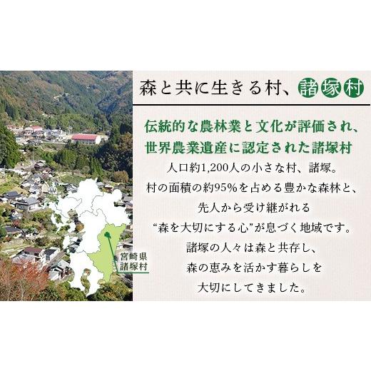 ふるさと納税 野菜類 きのこ 宮崎県 諸塚村 先行予約 宮崎県諸塚村産 原木舞茸 1kg 数量限定［2026年10月下旬〜11月中旬ごろにお届け］冷蔵｜マイタケ きのこ…_8