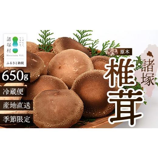 ふるさと納税 野菜類 きのこ 宮崎県 諸塚村 先行予約 宮崎県諸塚村産 原木生椎茸 約650g[2026年9月〜11月ごろにお届け]冷蔵|しいたけ 生シイタケ きのこ …