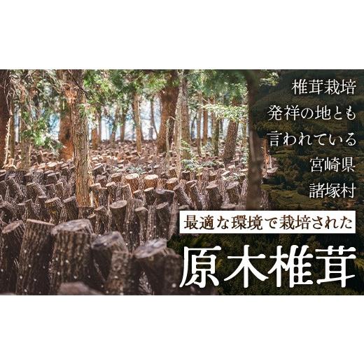 ふるさと納税 野菜類 きのこ 宮崎県 諸塚村 先行予約 宮崎県諸塚村産 原木生椎茸 約650g［2026年9月〜11月ごろにお届け］冷蔵｜しいたけ 生シイタケ きのこ …_2