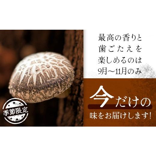 ふるさと納税 野菜類 きのこ 宮崎県 諸塚村 先行予約 宮崎県諸塚村産 原木生椎茸 約650g［2026年9月〜11月ごろにお届け］冷蔵｜しいたけ 生シイタケ きのこ …_3
