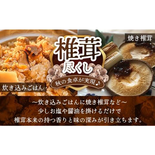 ふるさと納税 野菜類 きのこ 宮崎県 諸塚村 先行予約 宮崎県諸塚村産 原木生椎茸 約650g［2026年9月〜11月ごろにお届け］冷蔵｜しいたけ 生シイタケ きのこ …_4