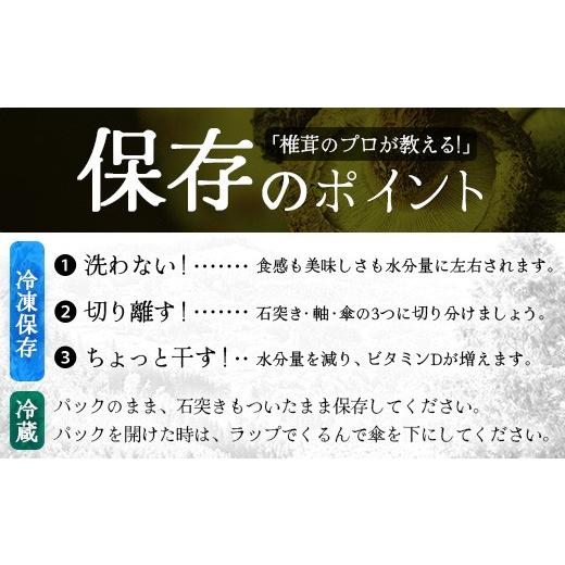 ふるさと納税 野菜類 きのこ 宮崎県 諸塚村 先行予約 宮崎県諸塚村産 原木生椎茸 約650g［2026年9月〜11月ごろにお届け］冷蔵｜しいたけ 生シイタケ きのこ …_5