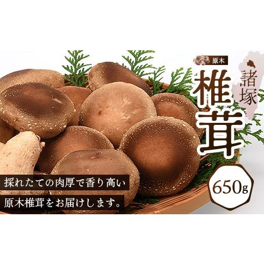 ふるさと納税 野菜類 きのこ 宮崎県 諸塚村 先行予約 宮崎県諸塚村産 原木生椎茸 約650g［2026年9月〜11月ごろにお届け］冷蔵｜しいたけ 生シイタケ きのこ …_6